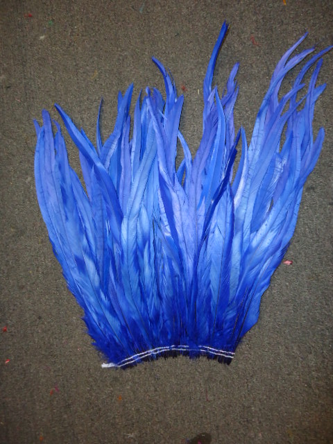 ROOSTER TAIL COQUE FEATHERS 16-18" ROYAL BLUE